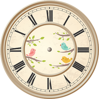 Vintage Bird Illustrated Wall Clock PNG