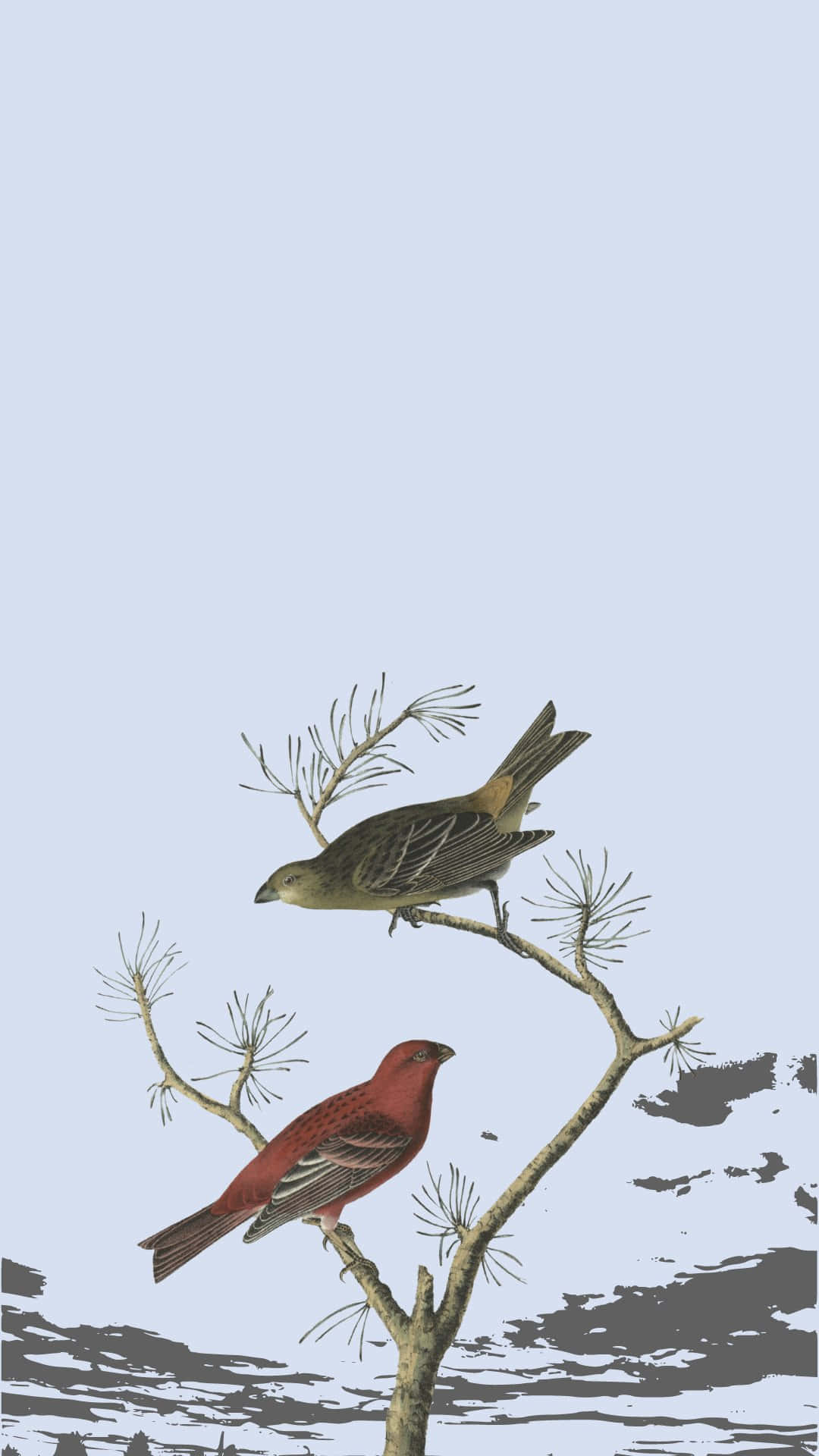 Vintage Birds Perchedon Pine Branch Wallpaper