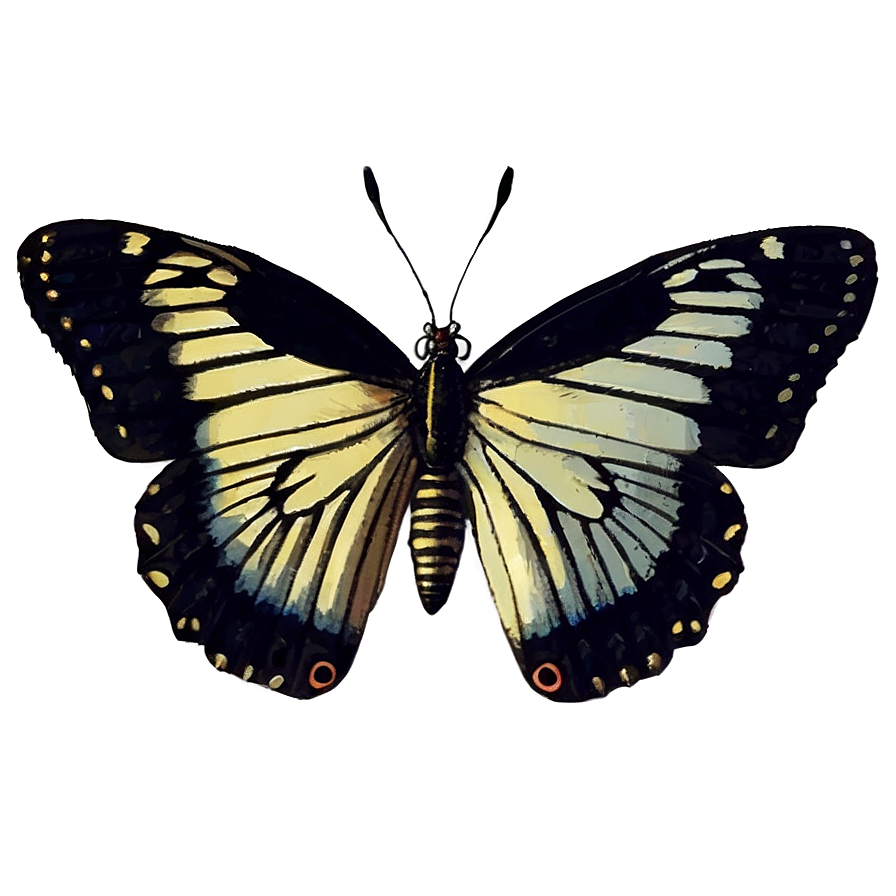 Vintage Black Butterfly Png 06252024 PNG