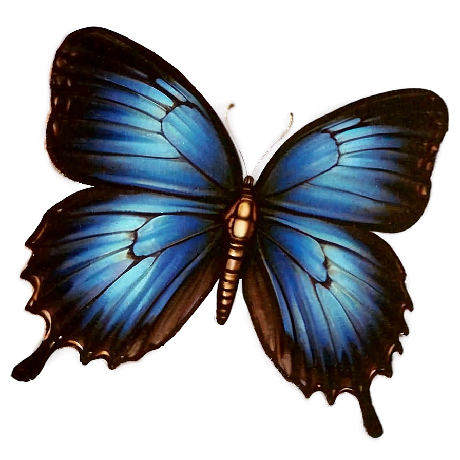 Vintage Blue Butterflies Png 06132024 PNG