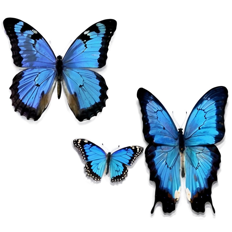 Vintage Blue Butterflies Png Thu37 PNG