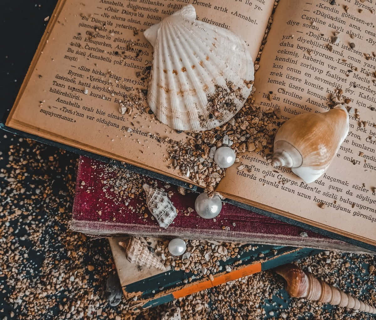 Vintage Bookand Sea Shells Soft Beige Aesthetic Wallpaper