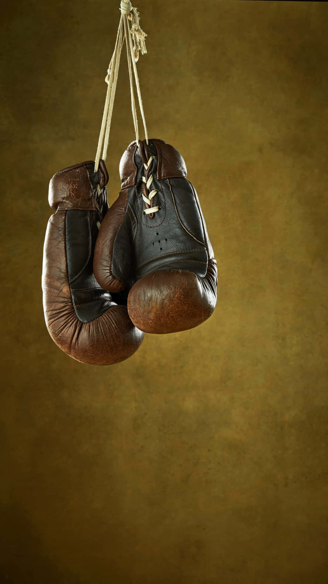 Vintage Boxing Gloves Hanging Wallpaper