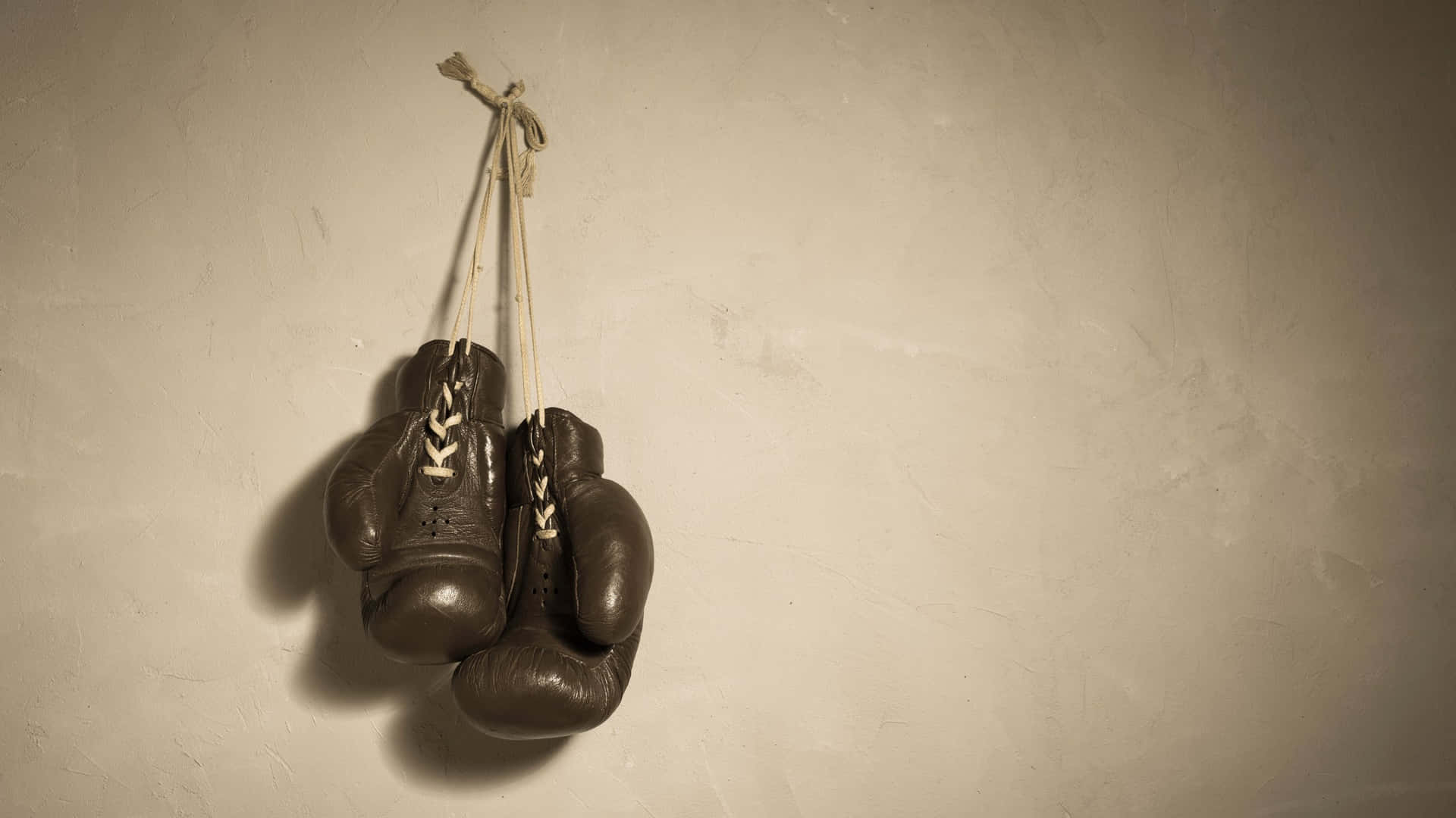 Vintage Boxing Gloves Hanging Wall Wallpaper