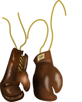 Vintage Boxing Gloves Illustration PNG