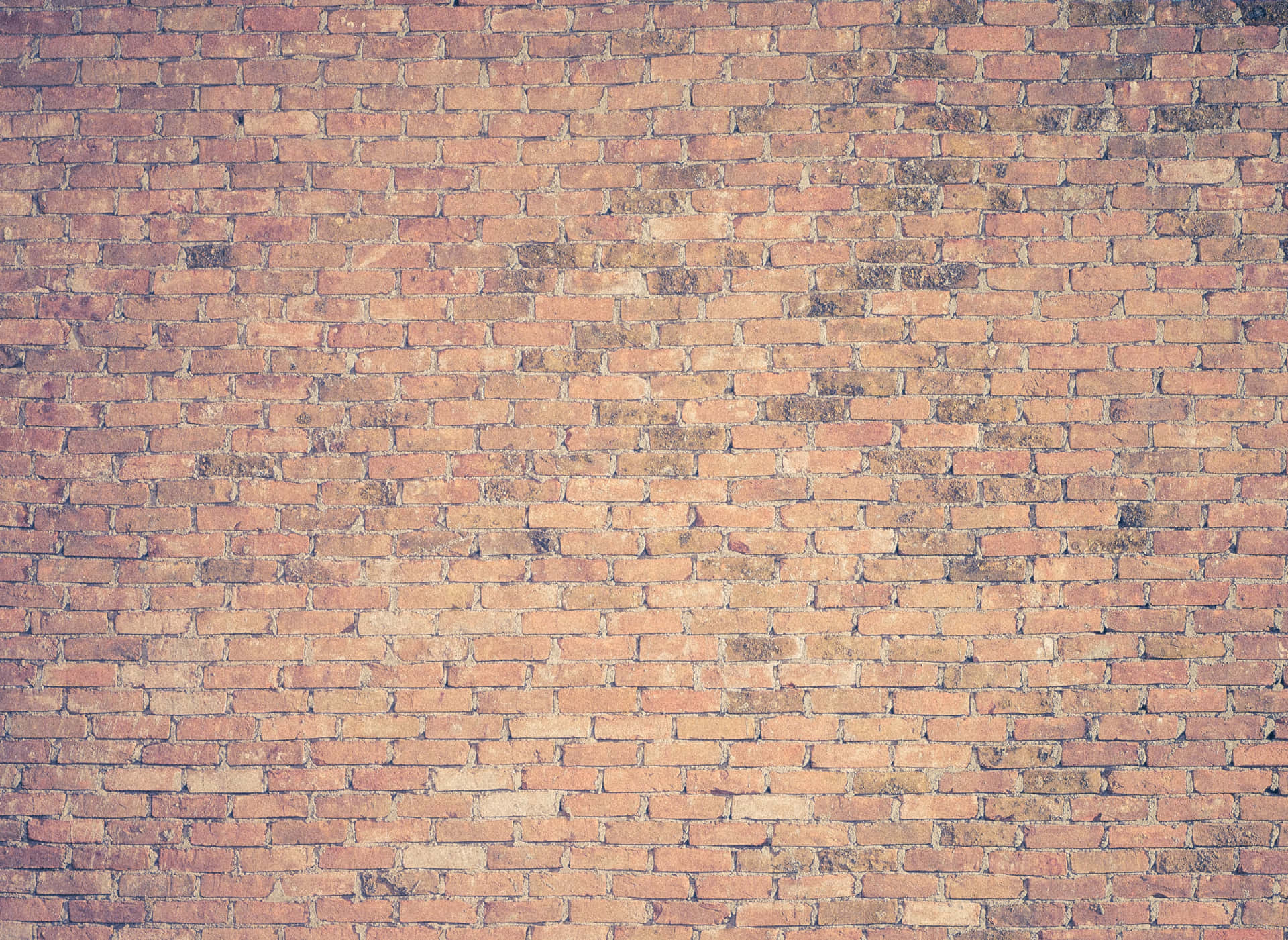 Vintage Brick Wall Texture