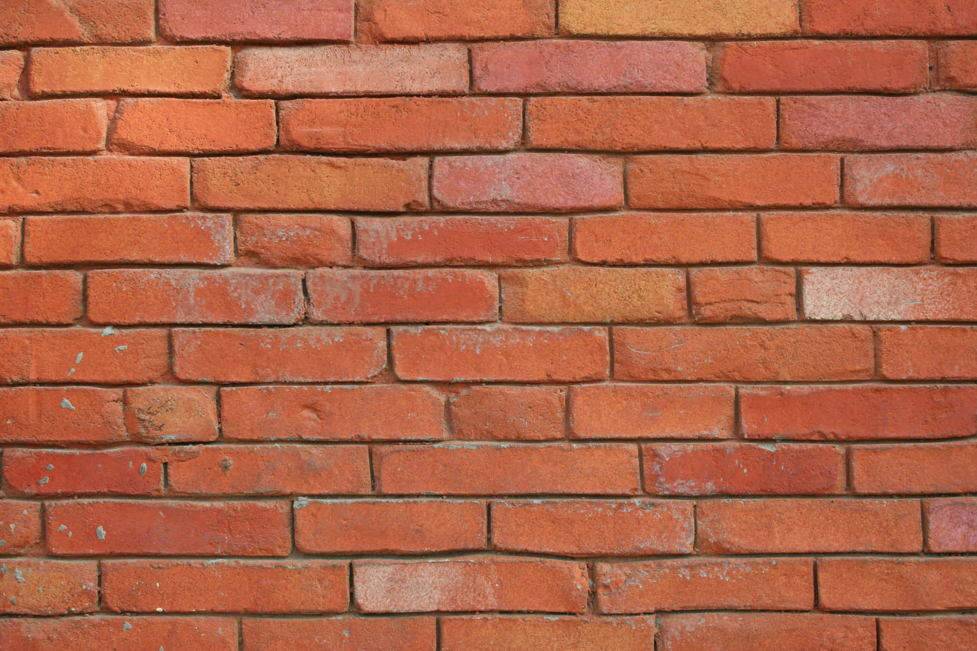 Vintage Brick Wall Texture Background