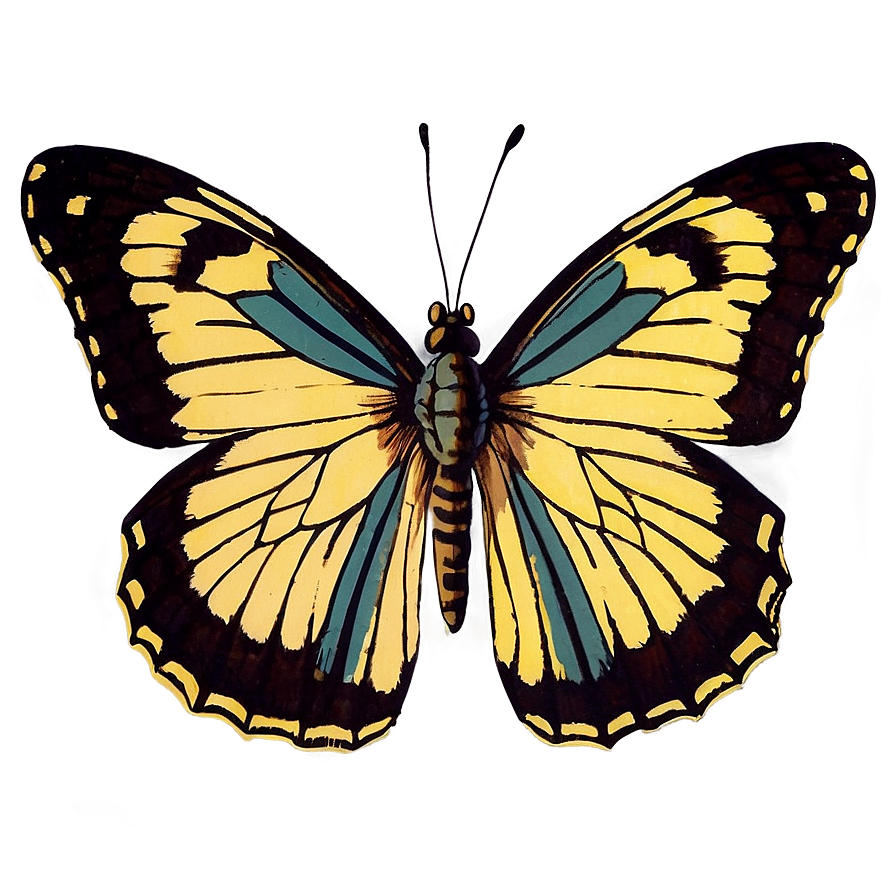 Vintage Butterfly Drawing Png Qxp PNG
