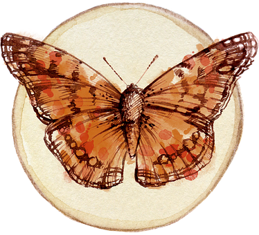 Vintage Butterfly Illustration PNG