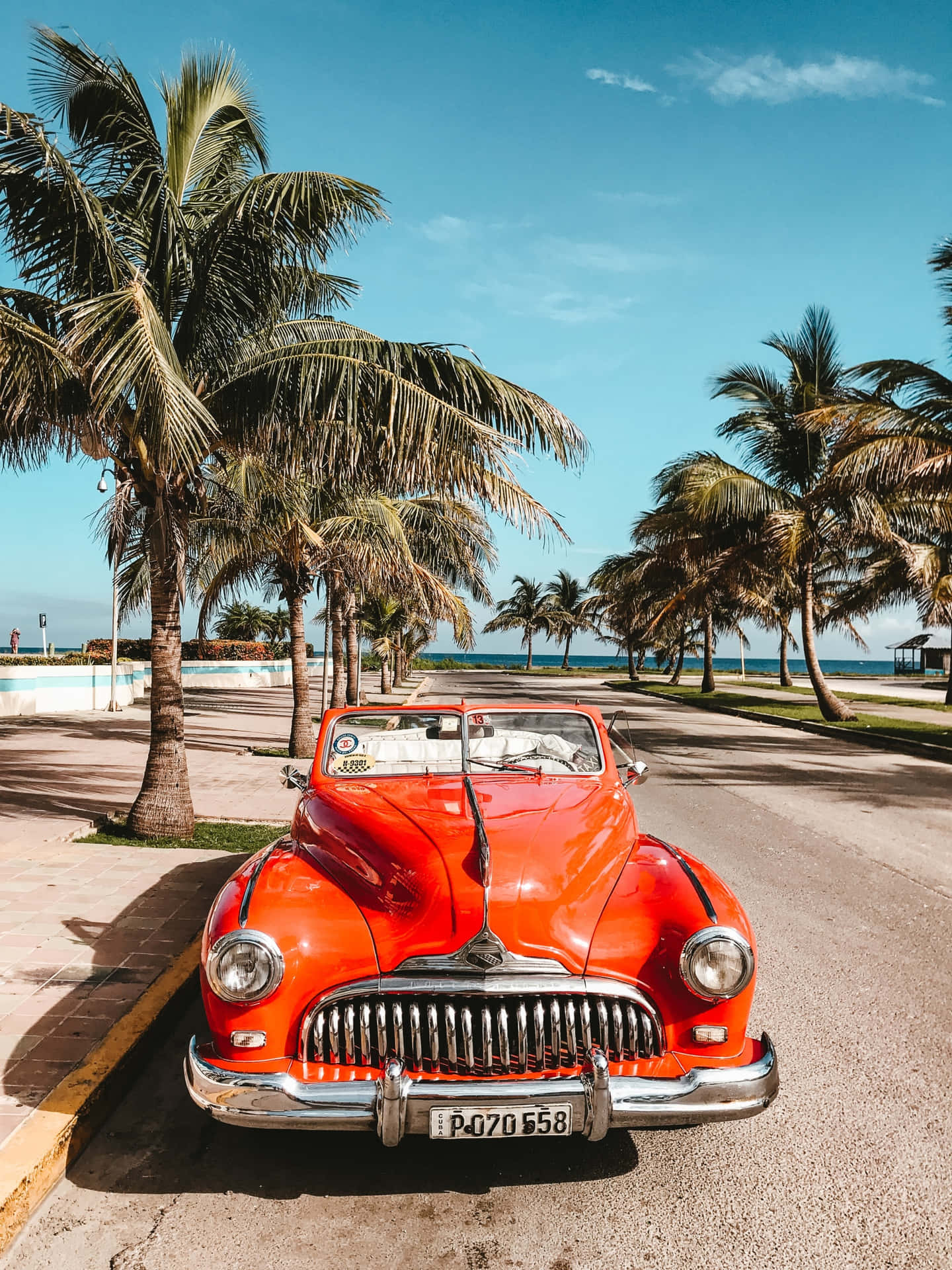 Vintage Car With Palm Trees Iphone Wallpaper