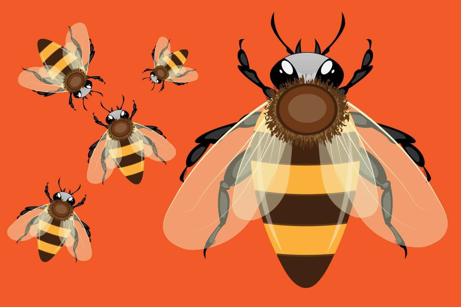 Vintage Cartoon Bees Orange Background Wallpaper