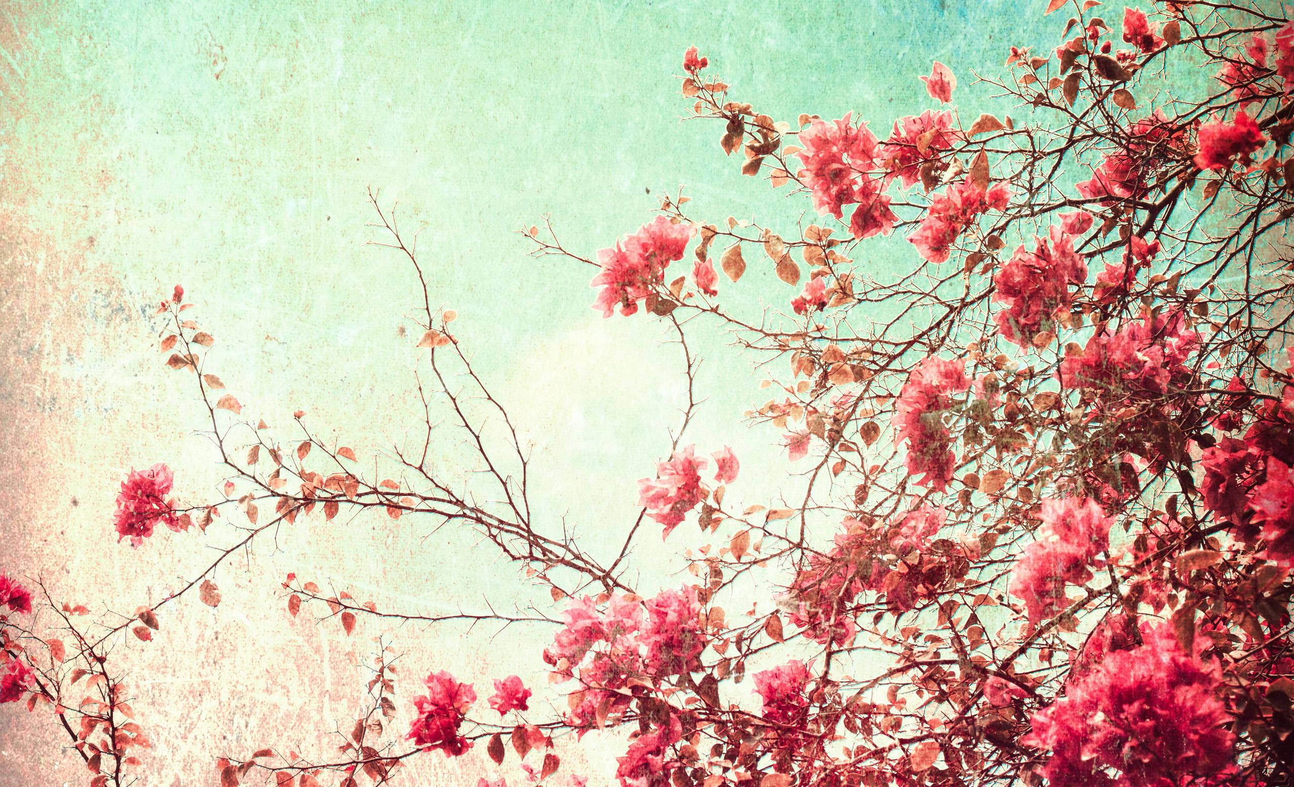Vintage Cherry Blossom Floral Desktop Wallpaper