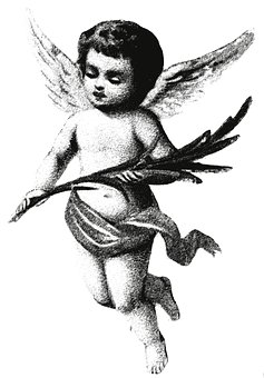 Vintage Cherub Angel Illustration PNG