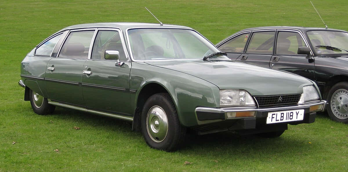 Vintage Citroen D S Groen Geparkeerd Op Gras Achtergrond