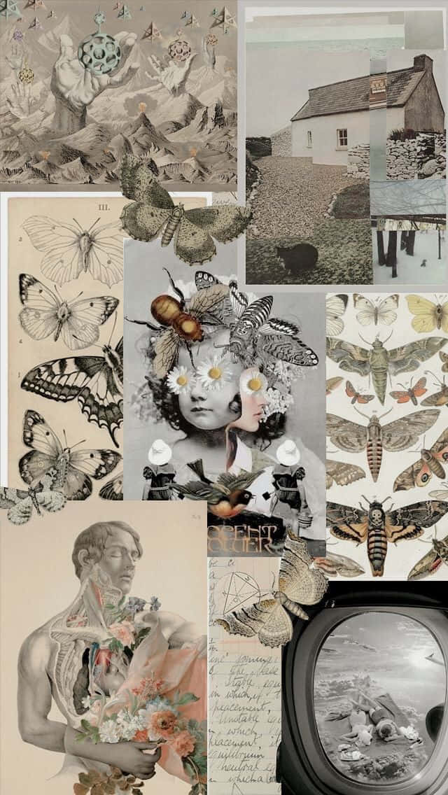 Vintage Collage Butterfly Art Wallpaper