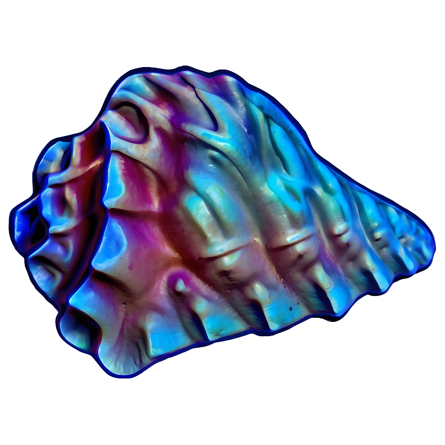 Vintage Conch Shell Icon Png Tib PNG