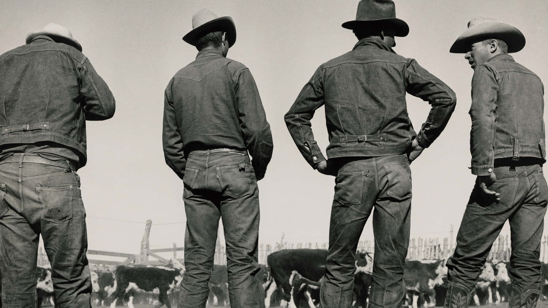 Vintage Cowboys Denim Fashion Wallpaper