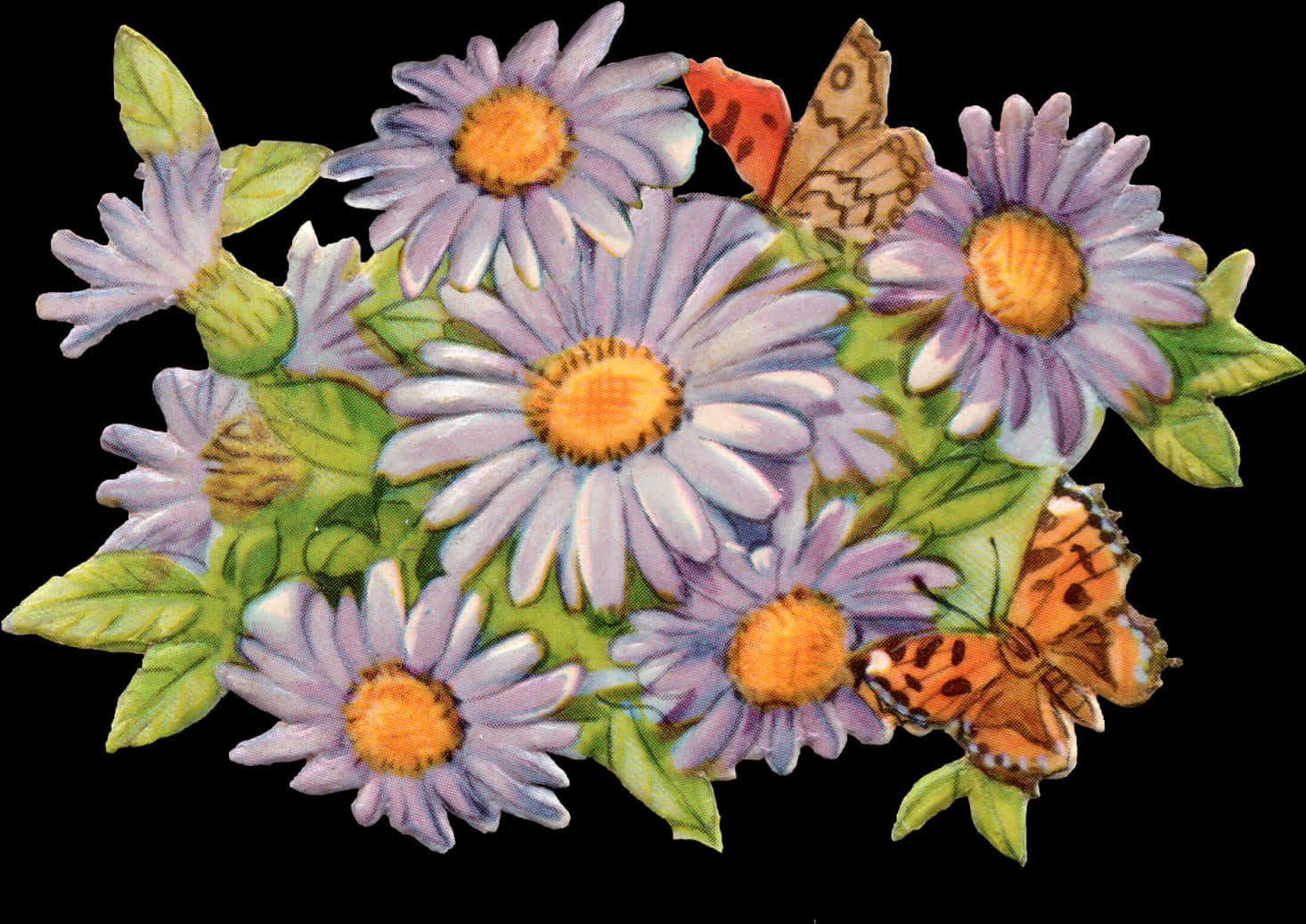 Vintage Daisyand Butterflies Illustration PNG