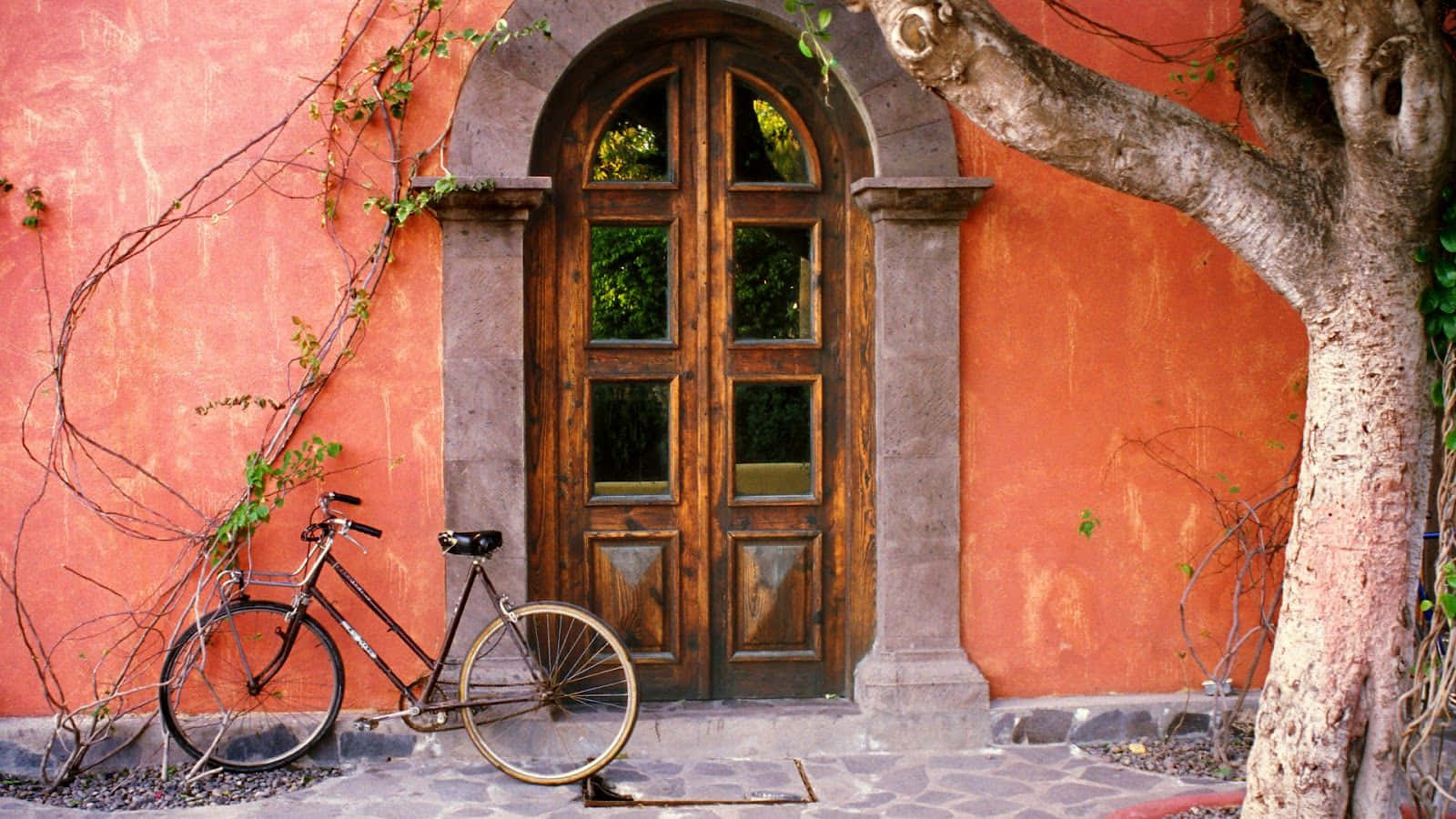 En cykel er lænet op ad en dør Wallpaper