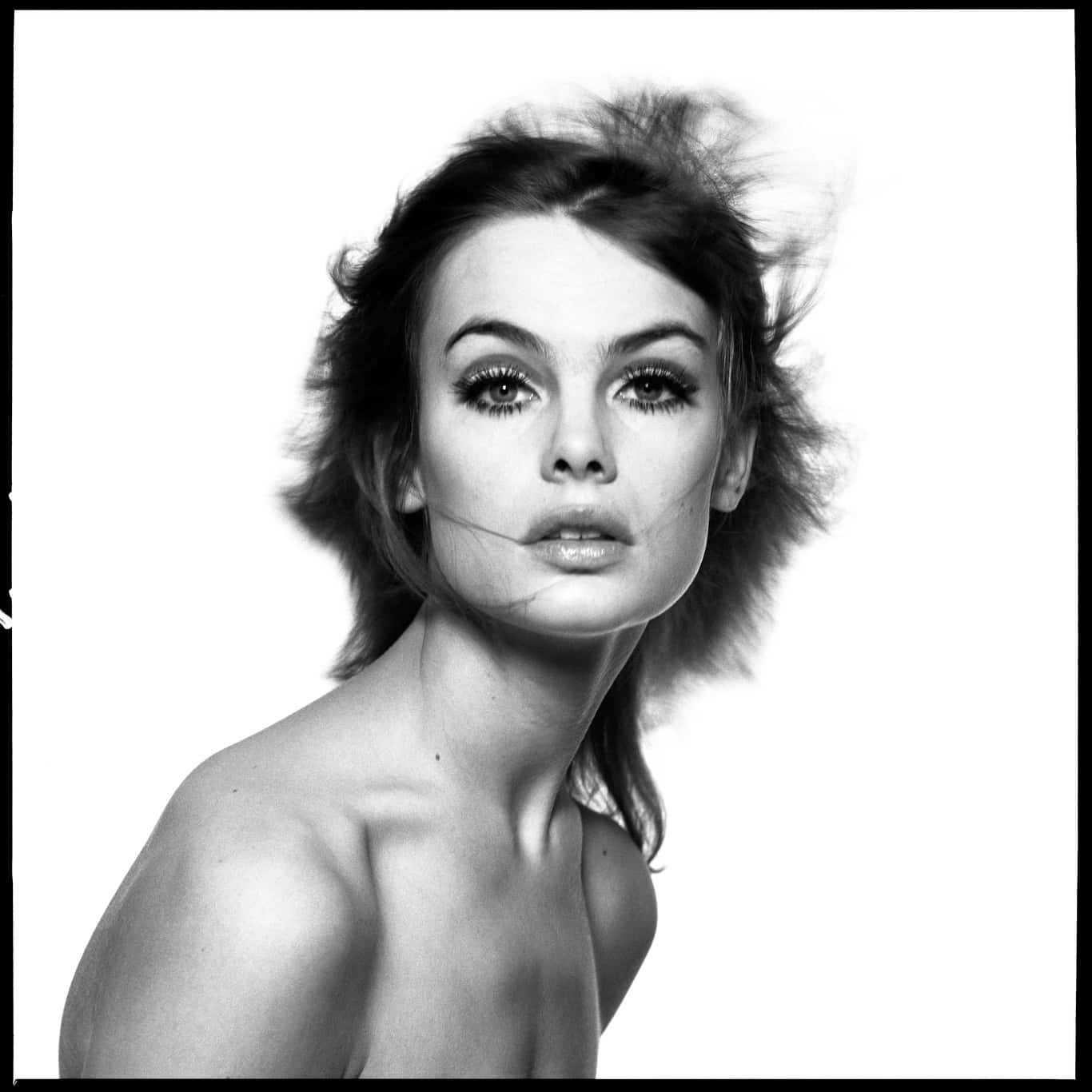 Vintage Elegance - Jean Shrimpton In A Classic Pose Wallpaper