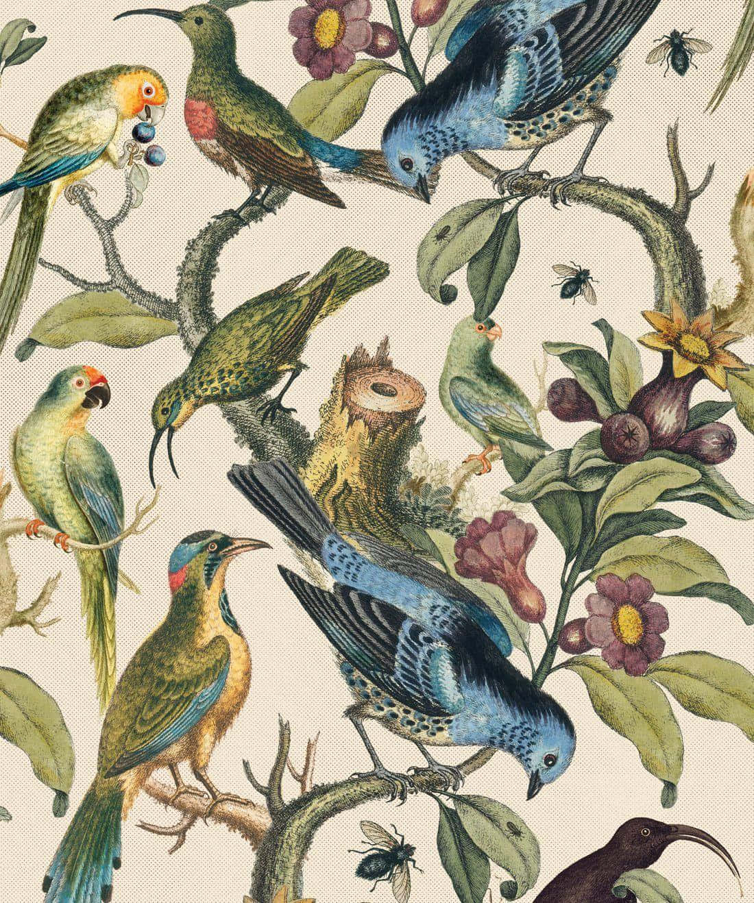 Vintage Exotic Birds Pattern Wallpaper
