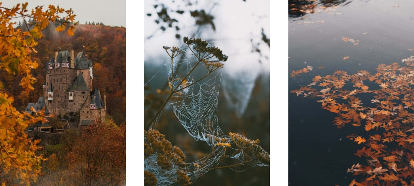Autumn Photography - Hd Wallpapers Wallpaper