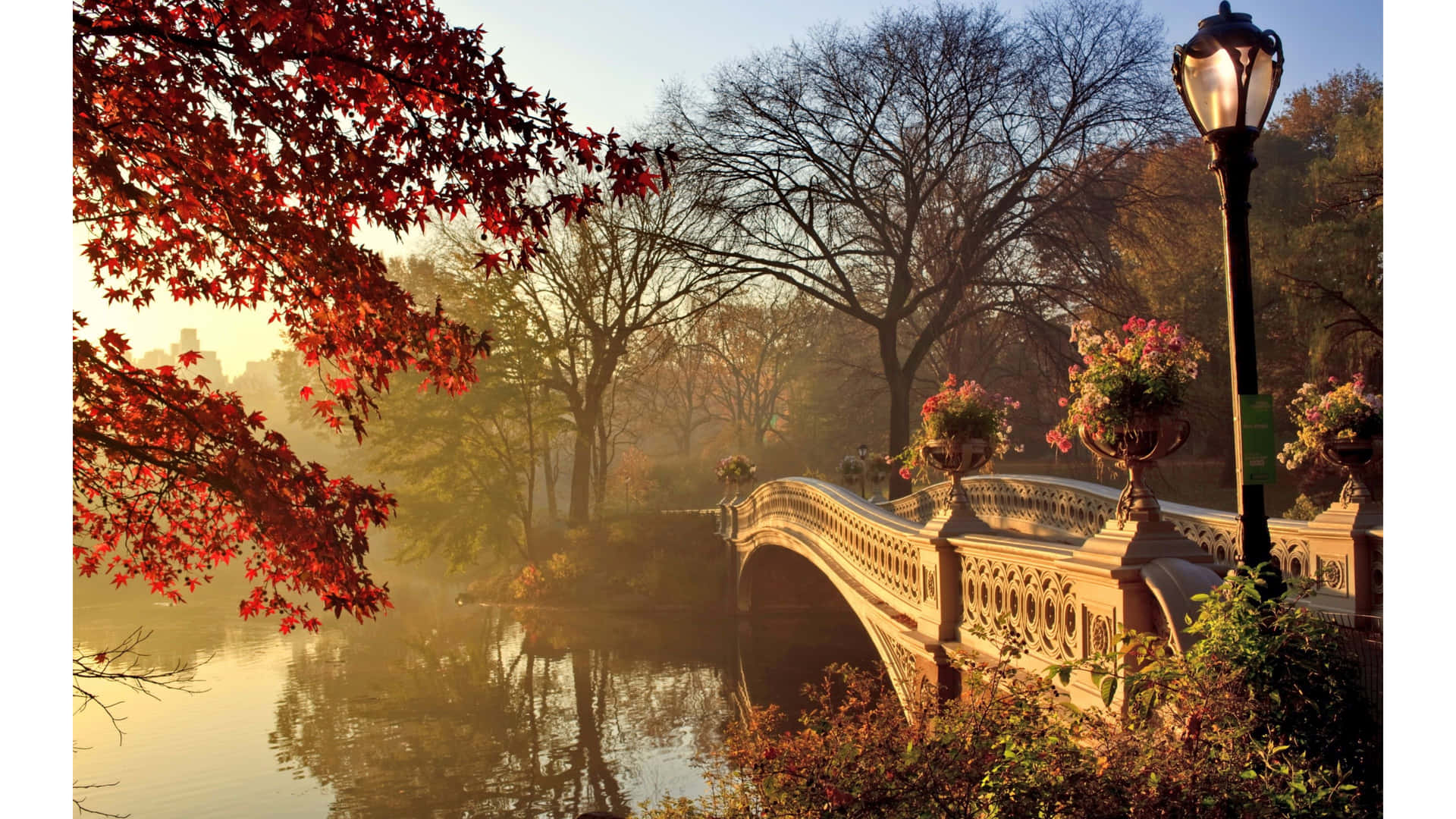 Central Park In The Fall Wallpaper