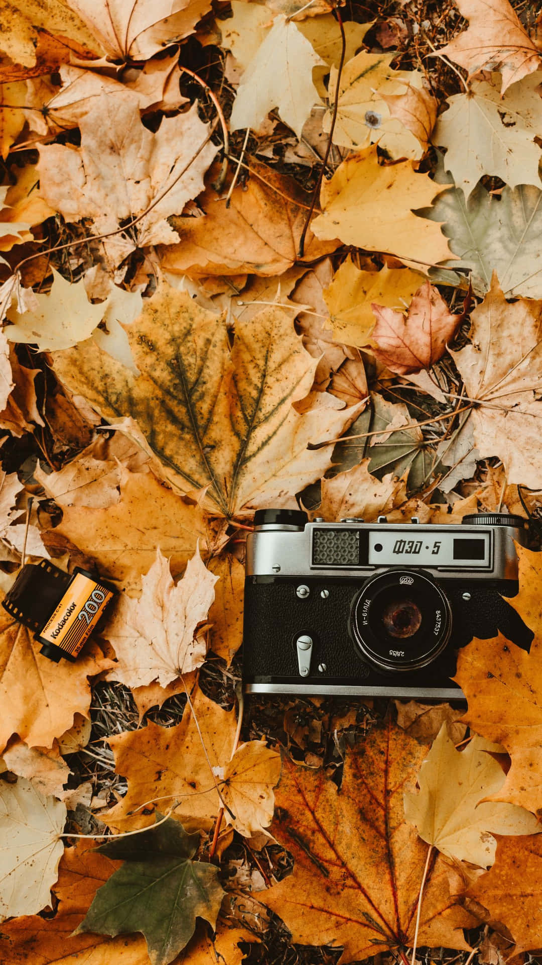 Enjoy the serenity of a vintage fall Wallpaper