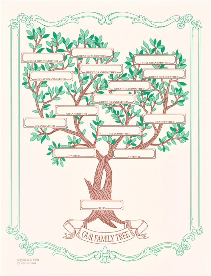 Vintage Family Tree Illustration PNG