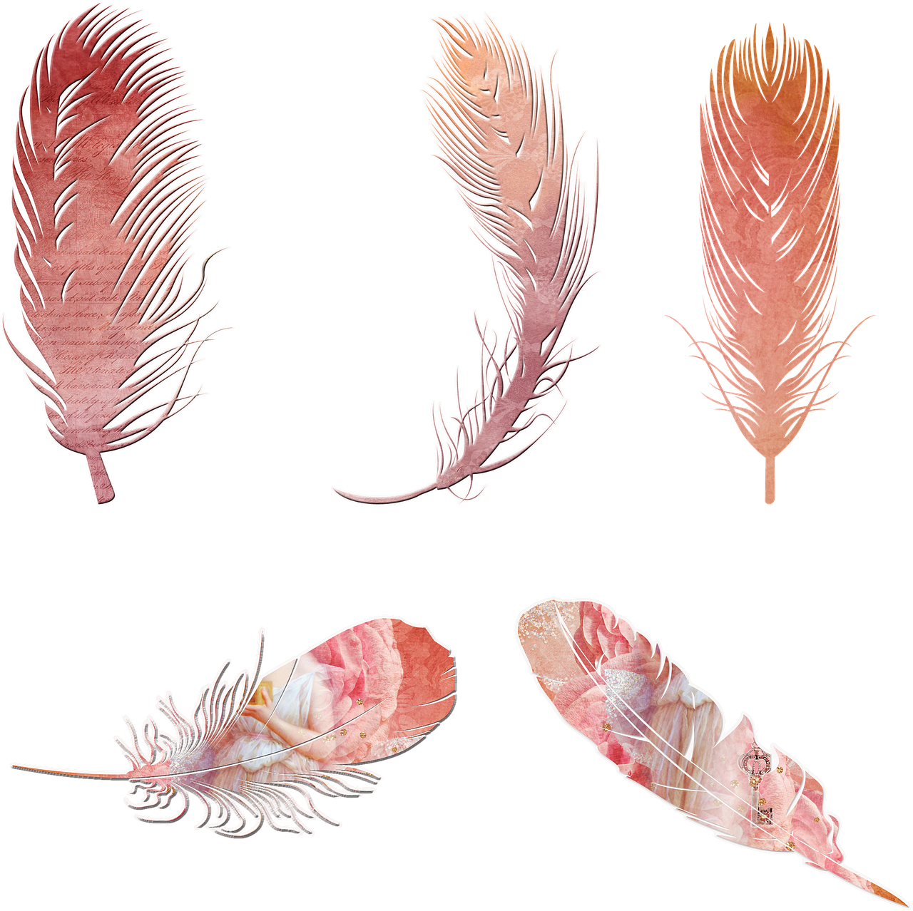 Vintage Feather Collection Clipart PNG