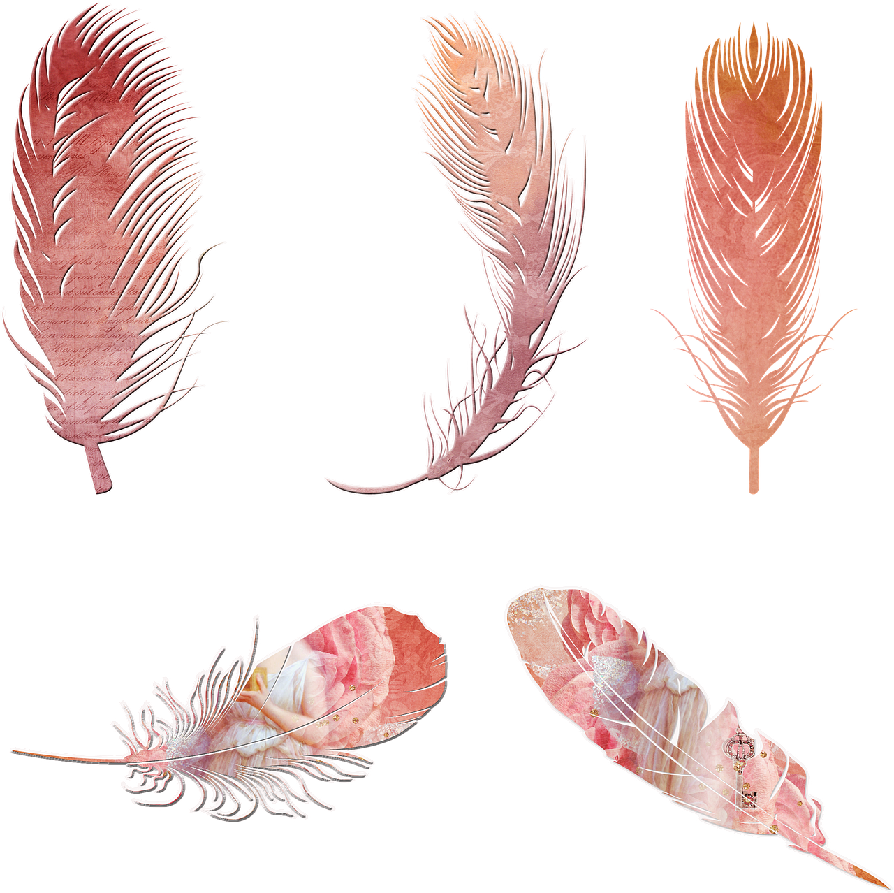 Download Vintage Feather Collection Clipart | Wallpapers.com