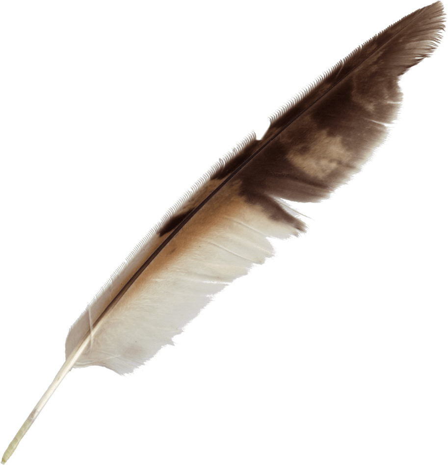 Vintage Feather Quill Pen.png PNG