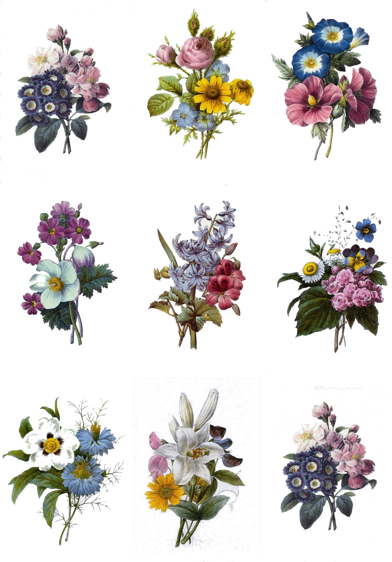 Vintage Floral Bouquet Collection PNG