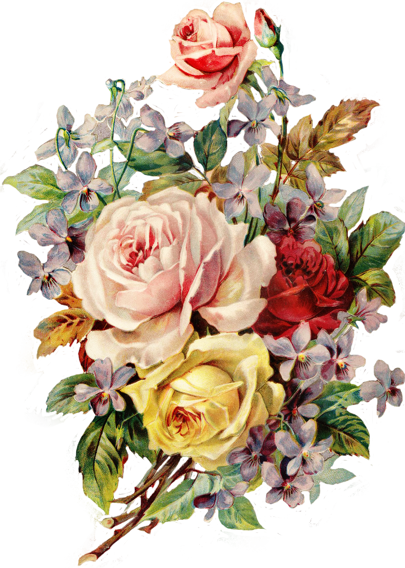 Vintage Floral Bouquet Illustration PNG