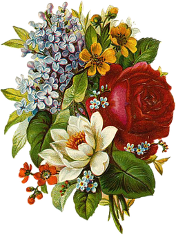 Vintage Floral Bouquet Illustration PNG