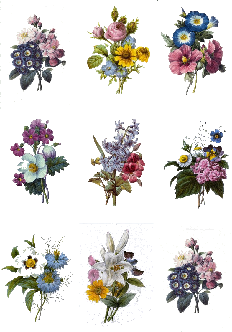 Vintage Floral Bouquets Collection PNG