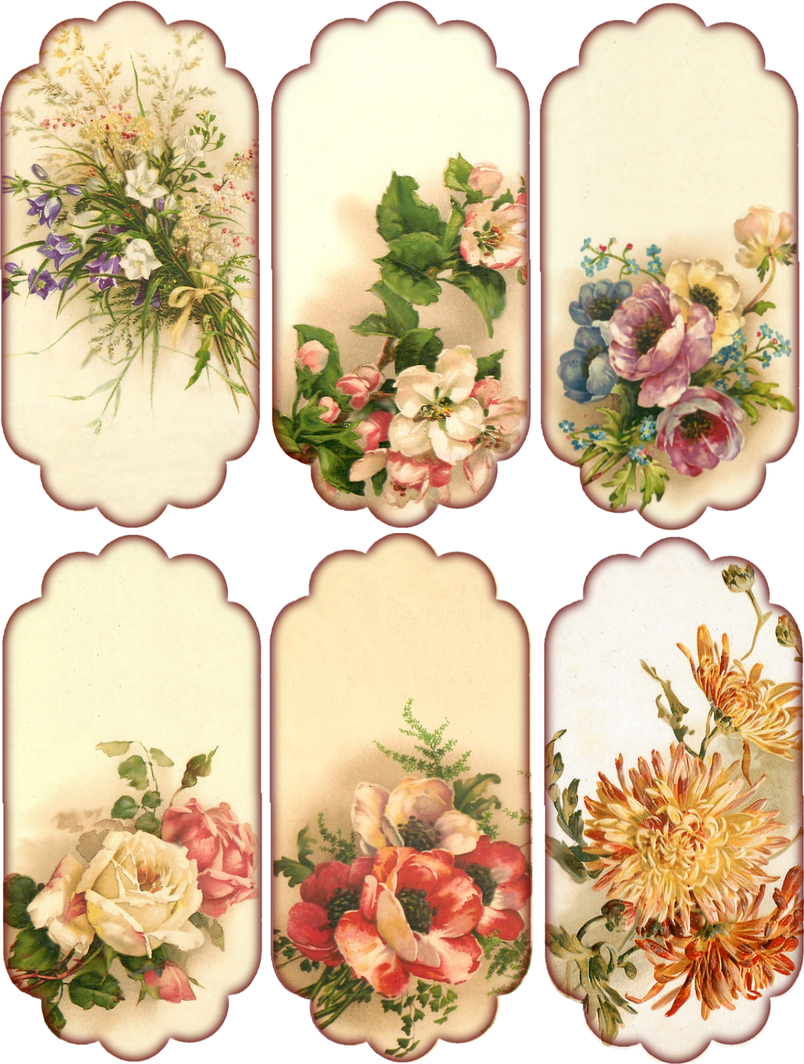 Vintage Floral Collection PNG