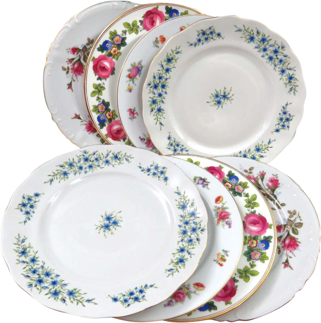 Vintage Floral Dinner Plates Set PNG