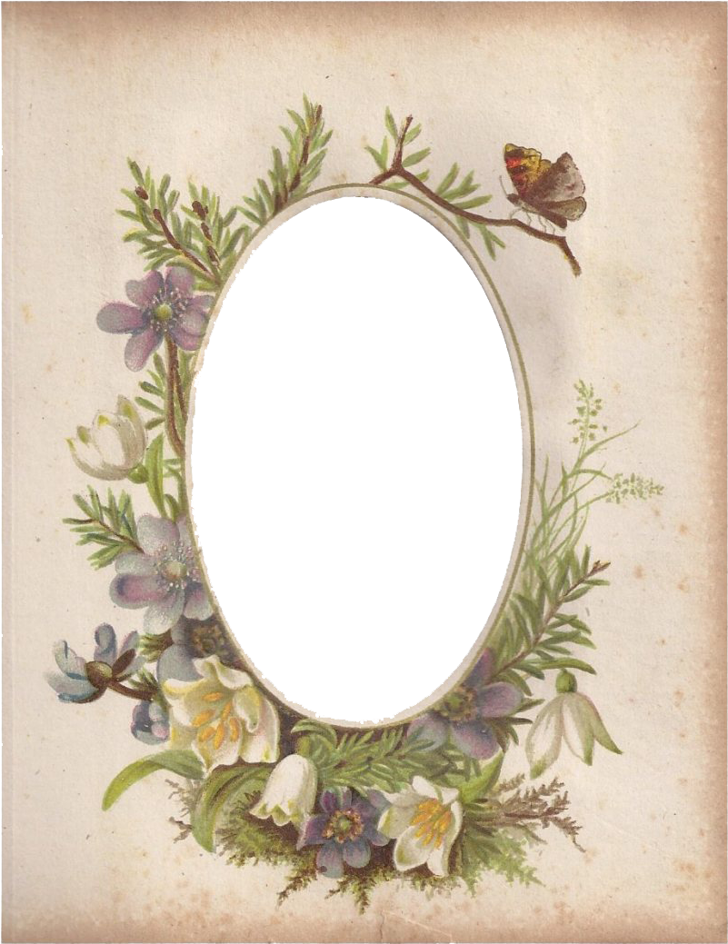 Vintage Floral Oval Framewith Butterfly PNG