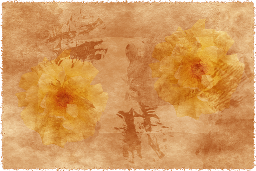 Vintage Floral Parchment Background PNG