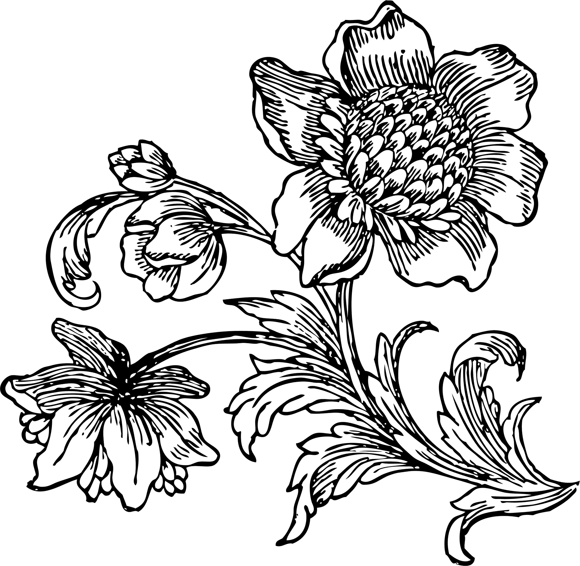 Vintage Floral Sketch PNG