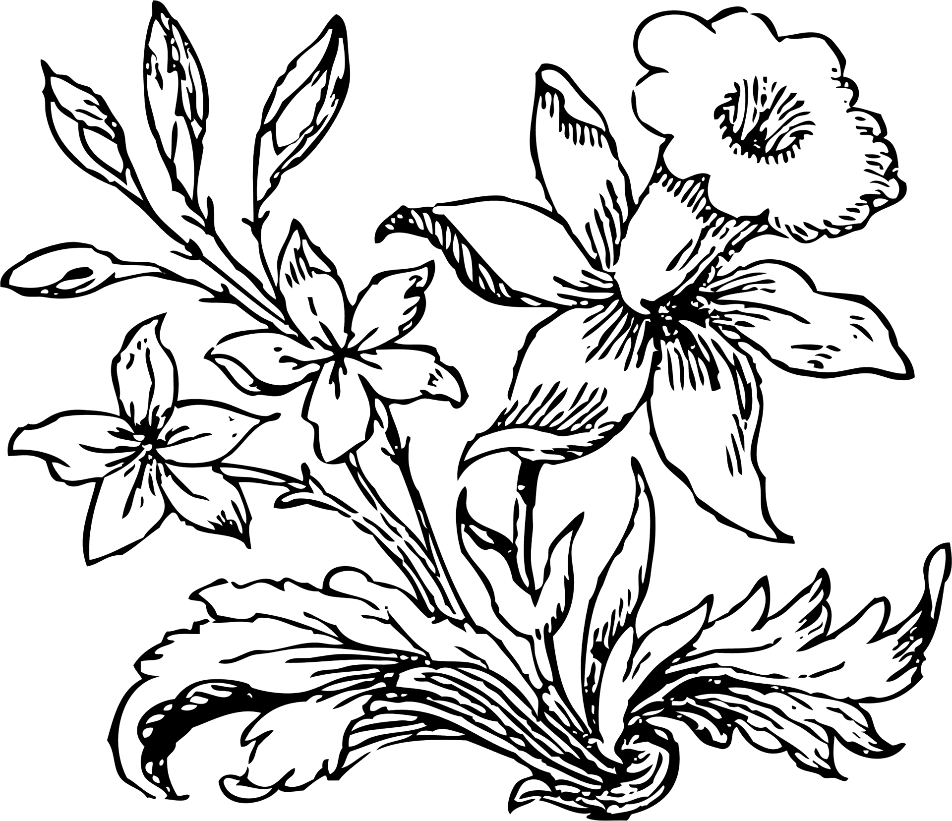 Vintage Floral Sketch PNG