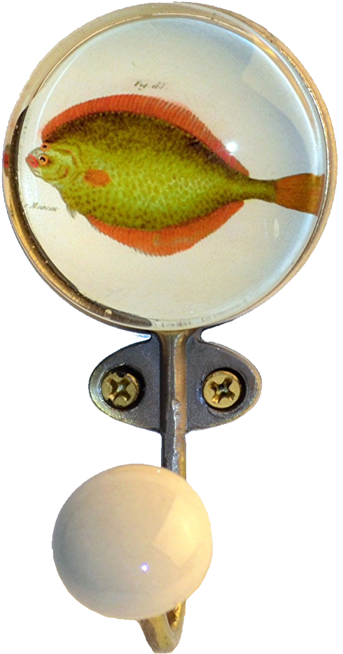 Vintage Flounder Illustration Pin PNG