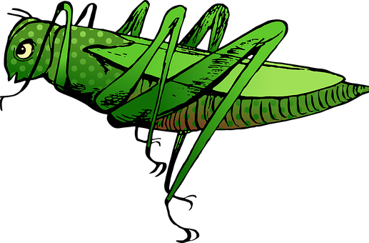 Vintage Green Grasshopper Illustration PNG