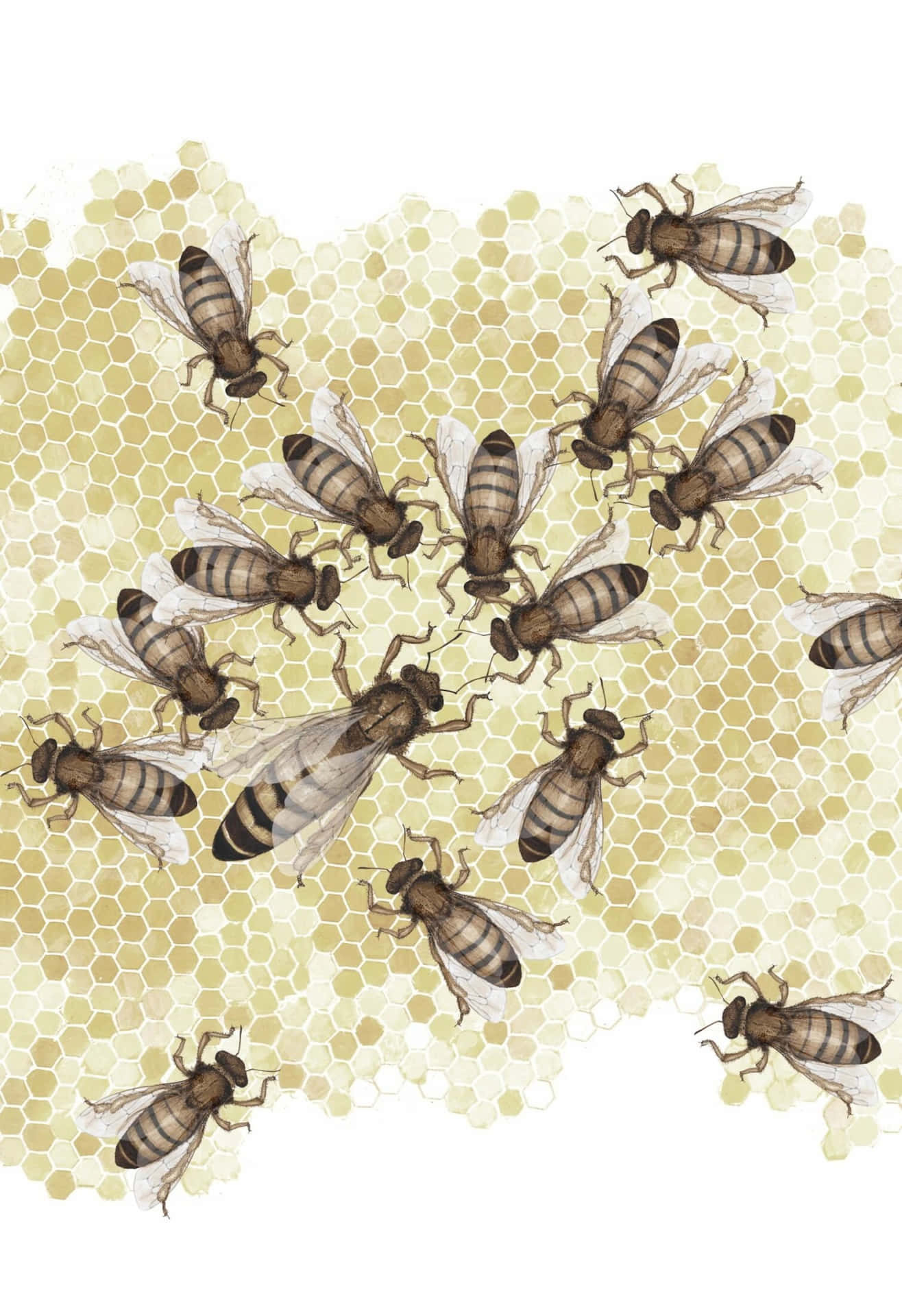 Vintage Honeycomband Bees Illustration Wallpaper