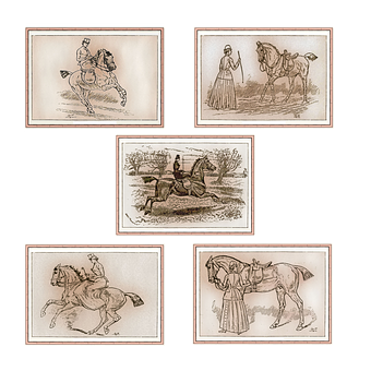 Vintage Horse Illustrations Collage PNG