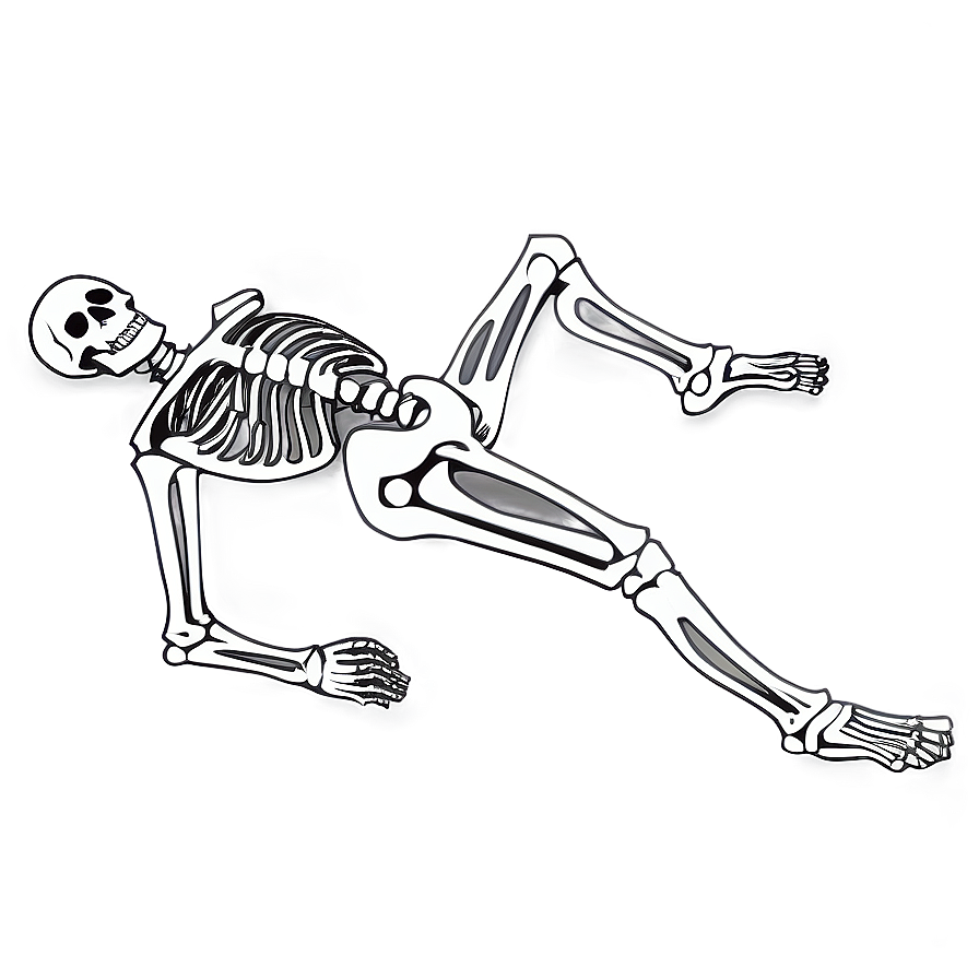 Vintage Human Skeleton Drawing Png Tgd PNG