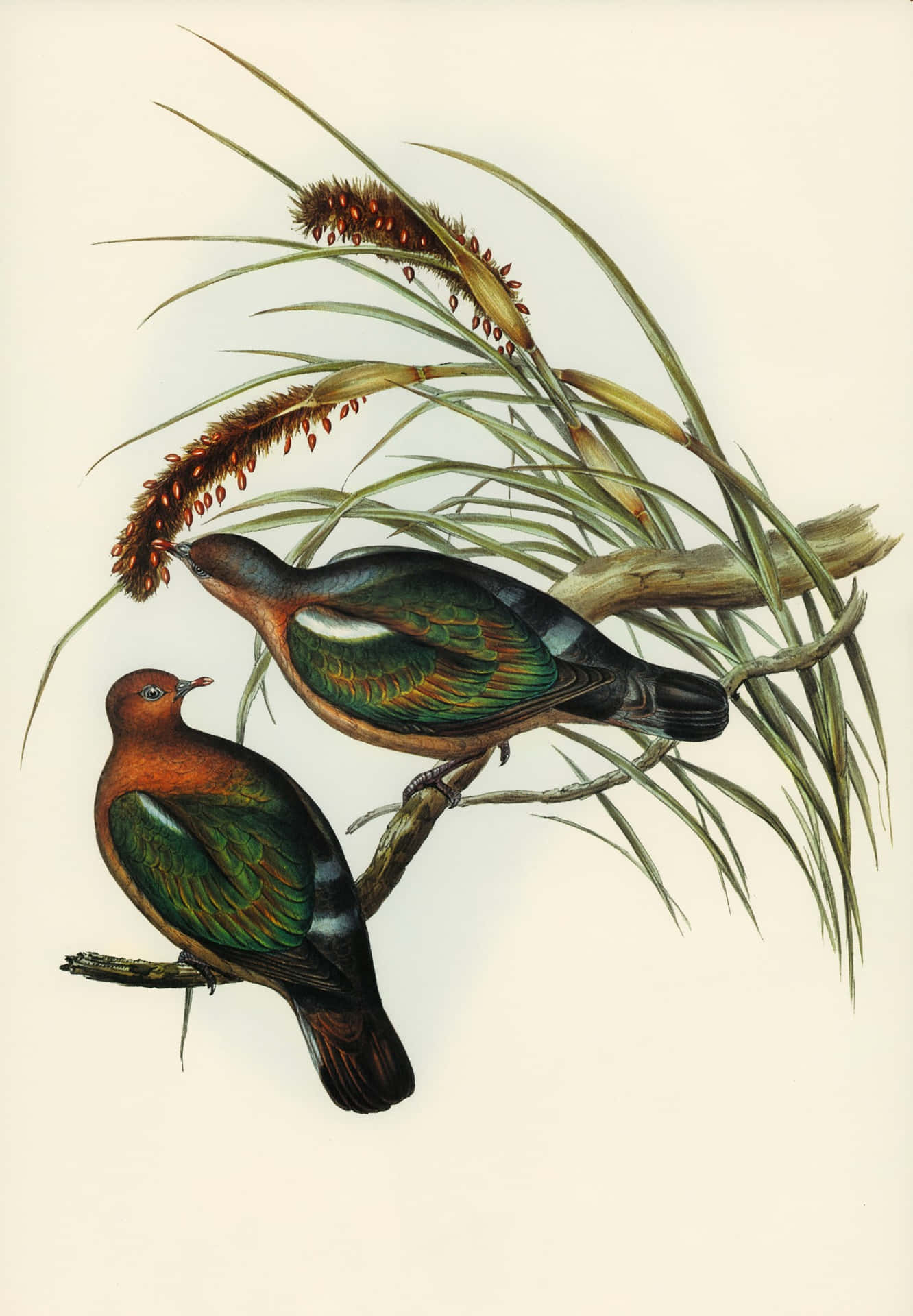 Vintage Illustrated Birdson Branch Wallpaper