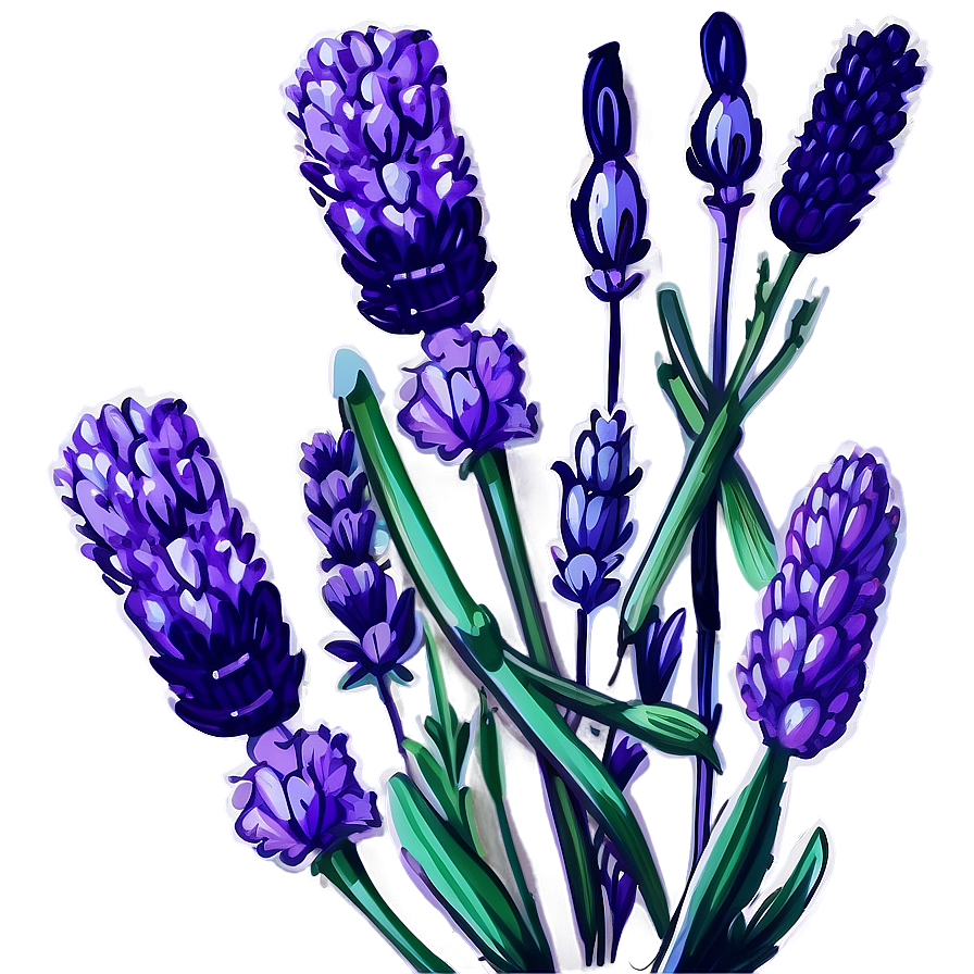 Vintage Lavender Illustration Png Cta PNG
