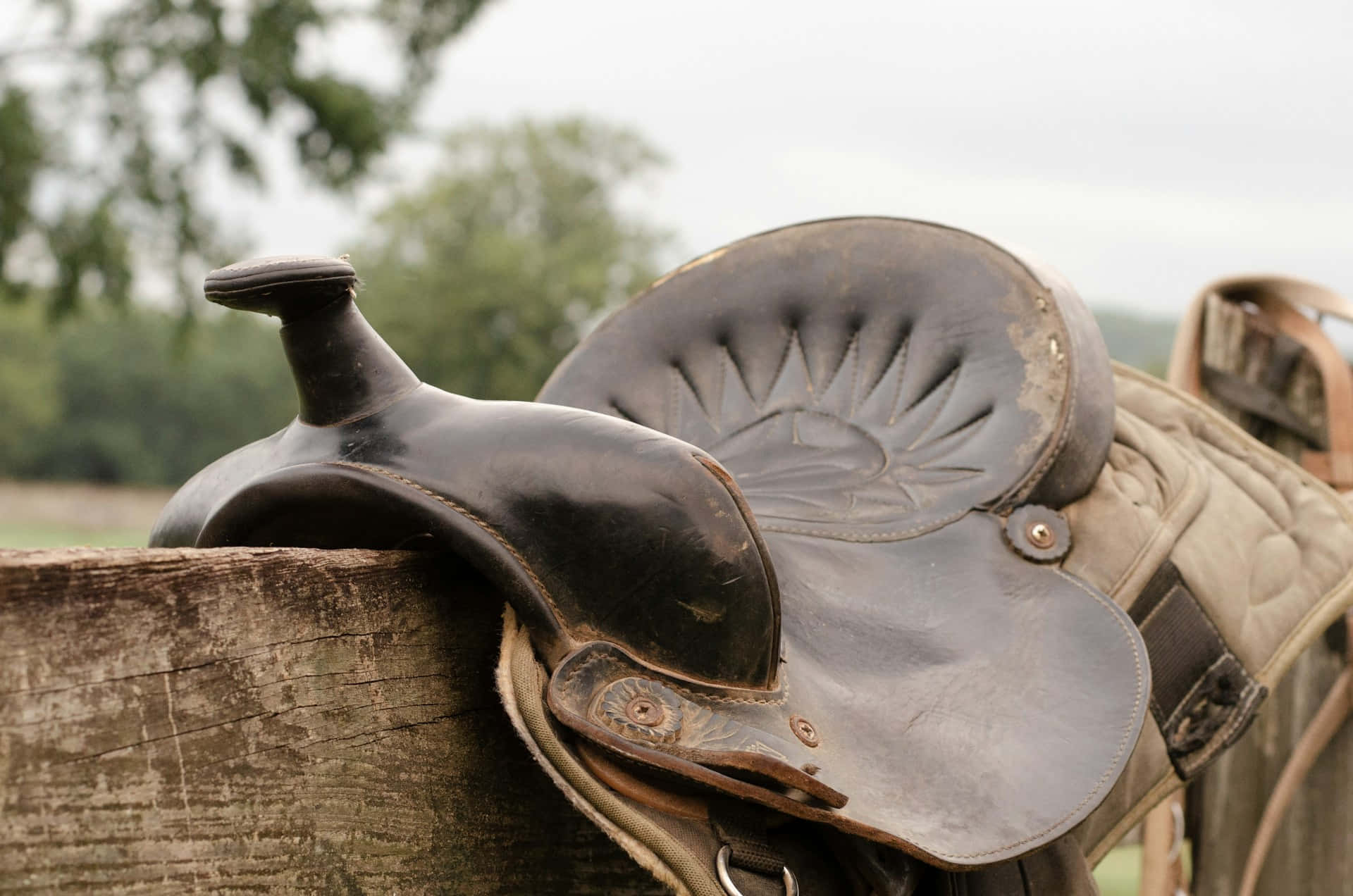 Vintage Leren Paardenzadel Achtergrond